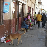Copy of CIMG9742